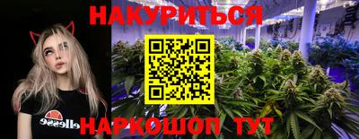 стаф Севастополь