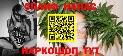 стаф Севастополь