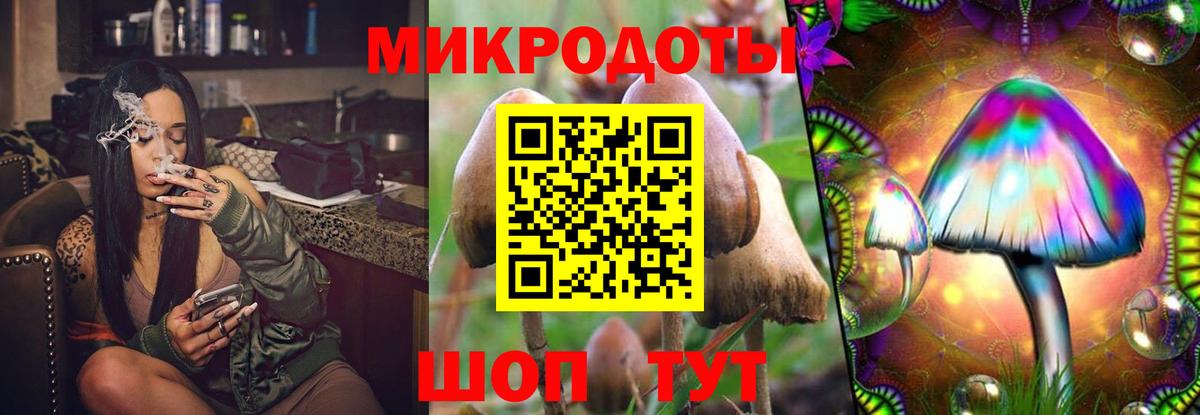 Псилоцибиновые грибы Magic Shrooms Богданович